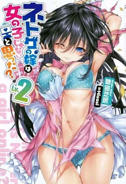 《线上游戏的老婆不可能是女生?》动画决定