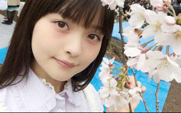 政委prpr！声优上坂堇晒赏樱图引发关注