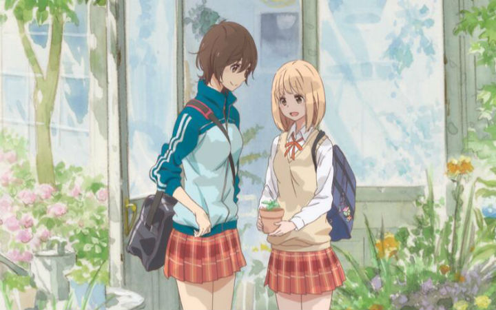 OVA《牵牛花与加濑同学》预告片与宣传图公开