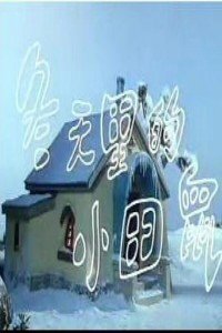 冬天里的小田鼠