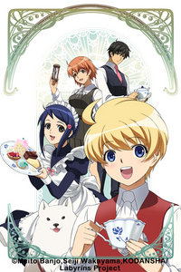 绝妙侦探之迷宫