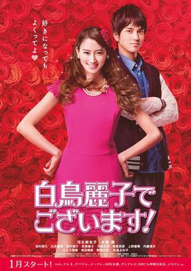 白鸟丽子日剧 已完结