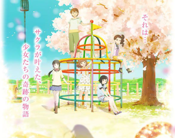 樱花树下的时间胶囊全集海报图