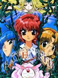 魔法骑士国语版