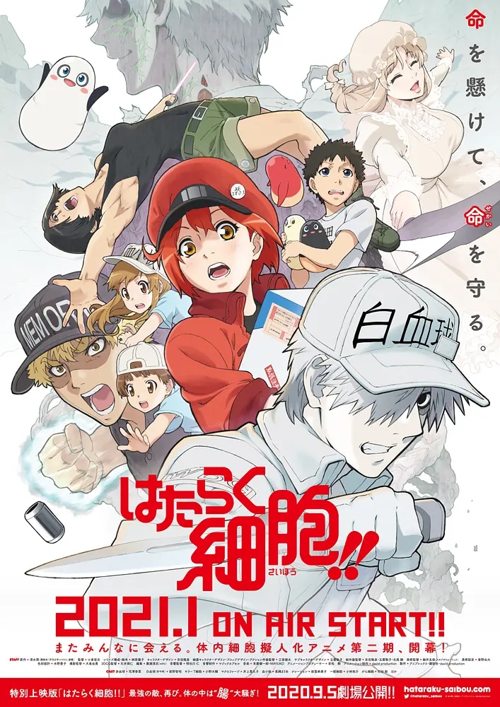 工作细胞 第二季