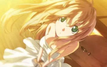 18禁游戏改编动画《Dies irae》宣布2017年放送