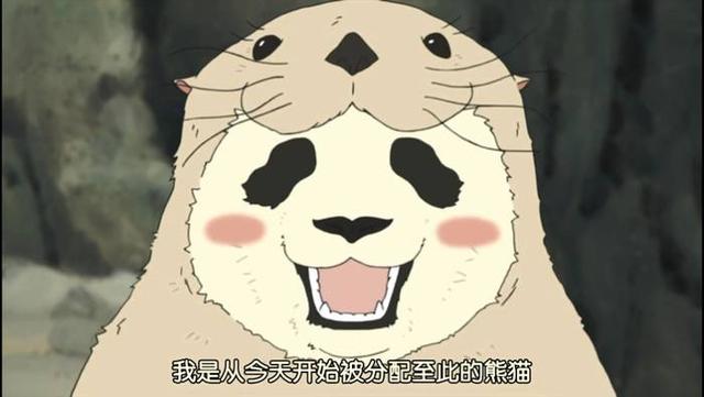熊猫为什么是黑白色 米国学者称是装凶恶
