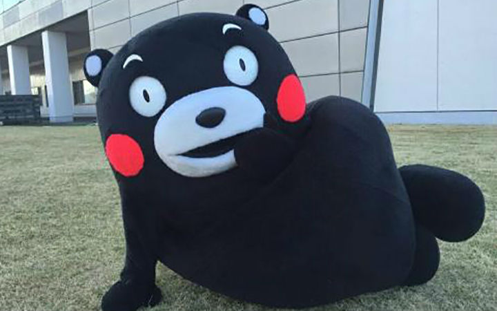 熊本熊也动画化了！新表情包预定