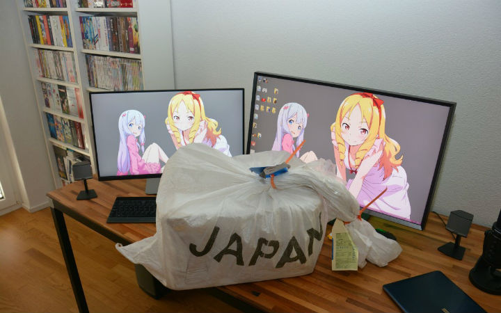 成功说服海关！瑞士宅男取回被扣押的同人志