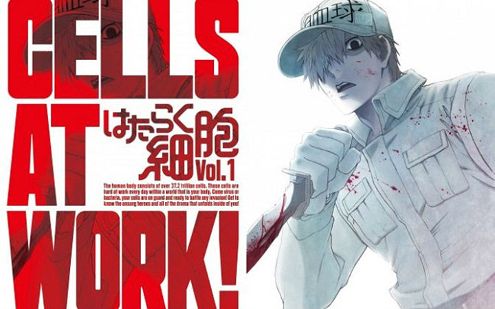 《工作细胞》BD第1卷发售 前野智昭的白血球COS令全场欢呼