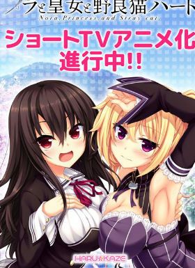 野良和皇女和流浪猫之心